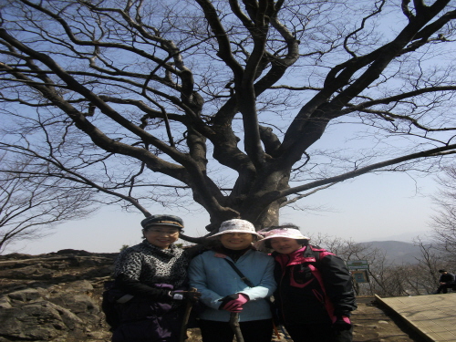 201.04.03일 시자협마실단 포토죤