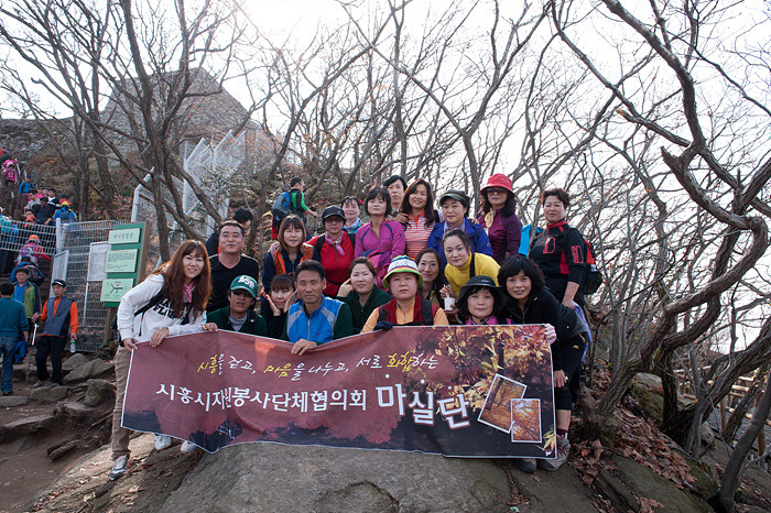 시자협마실단 11월 4